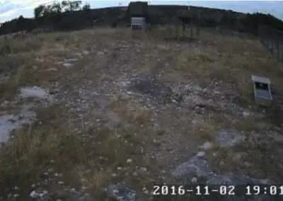 security camera image of a remote piece of land
