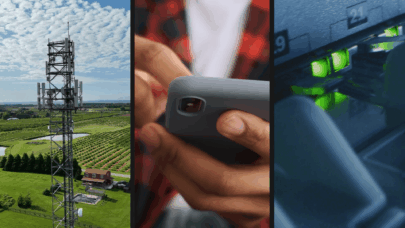 Dual Network Flexibility