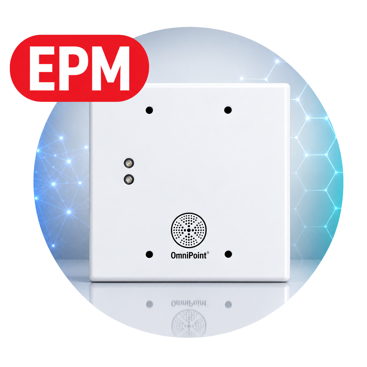 Entry Point Modules